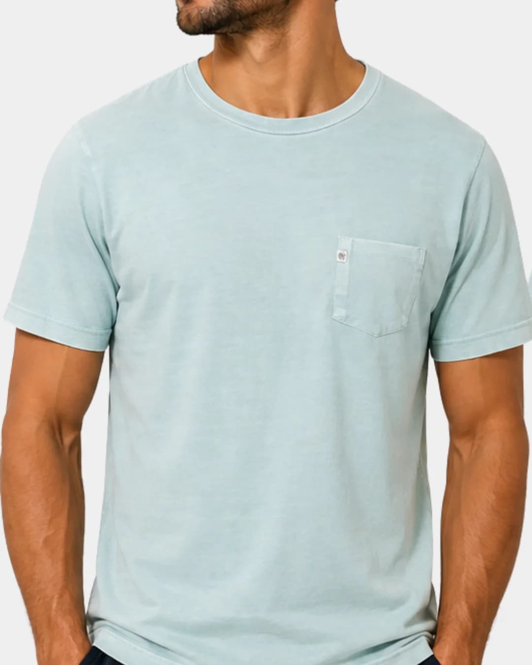 Camiseta Richards